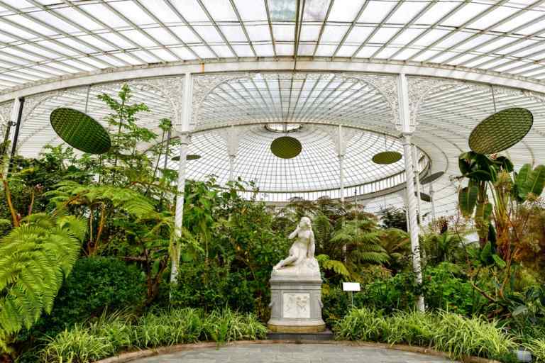 ¿Qué es un Jardín Botánico? – JARDÍN  BOTÁNICO
